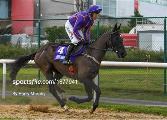 Dublin Racing Festival - Day Two