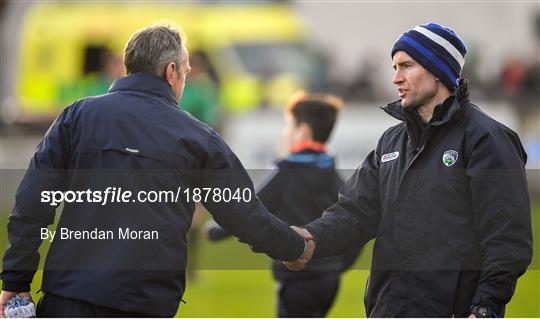 Dublin v Laois - Allianz Hurling League Division 1 Group B Round 2