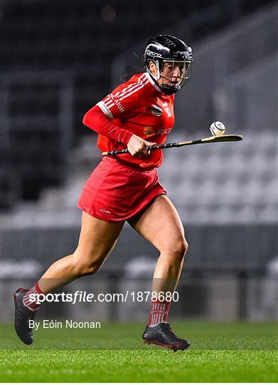 Cork v Waterford - Littlewoods Ireland National Camogie League Division 1