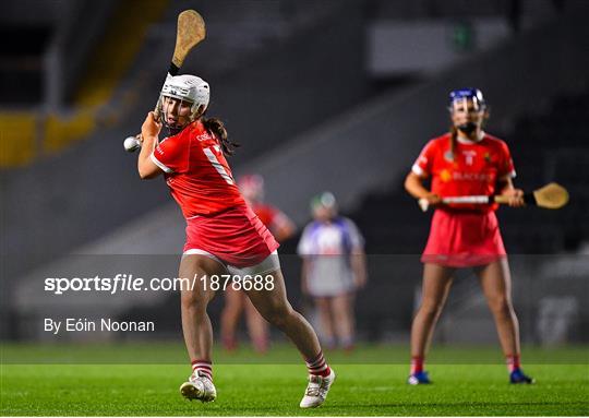 Cork v Waterford - Littlewoods Ireland National Camogie League Division 1