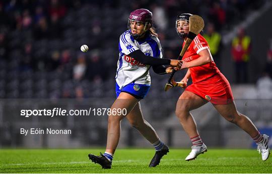 Cork v Waterford - Littlewoods Ireland National Camogie League Division 1