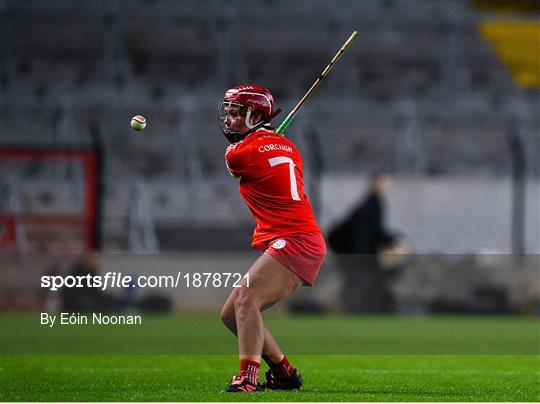 Cork v Waterford - Littlewoods Ireland National Camogie League Division 1