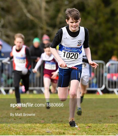 Irish Life Health National Intermediate, Master, Juvenile B & Relays Cross Country