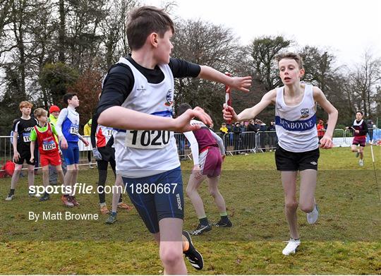 Irish Life Health National Intermediate, Master, Juvenile B & Relays Cross Country