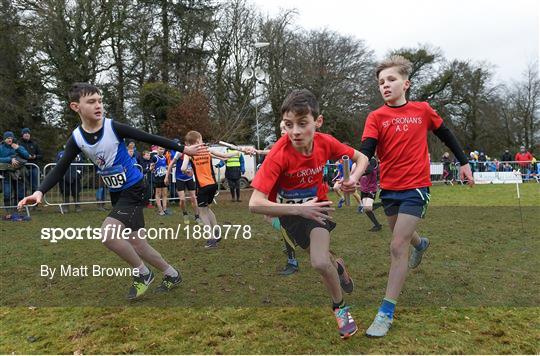 Irish Life Health National Intermediate, Master, Juvenile B & Relays Cross Country