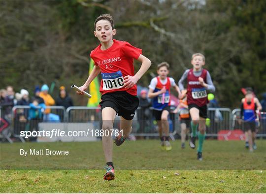 Irish Life Health National Intermediate, Master, Juvenile B & Relays Cross Country Irish Life Health National Intermediate, Master, Juvenile B & Relays Cross Country