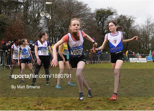 Irish Life Health National Intermediate, Master, Juvenile B & Relays Cross Country