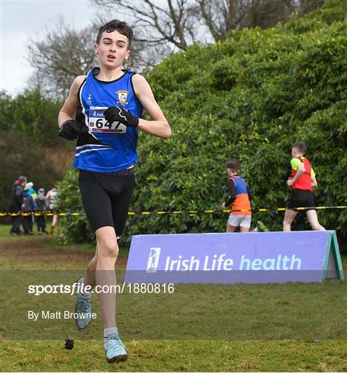 Irish Life Health National Intermediate, Master, Juvenile B & Relays Cross Country