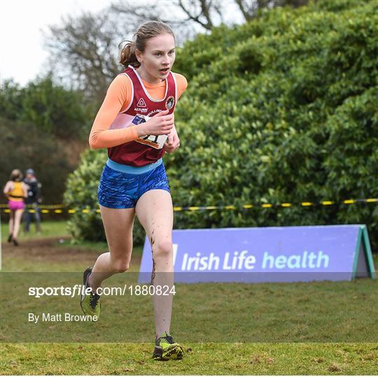 Irish Life Health National Intermediate, Master, Juvenile B & Relays Cross Country