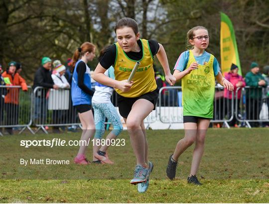 Irish Life Health National Intermediate, Master, Juvenile B & Relays Cross Country