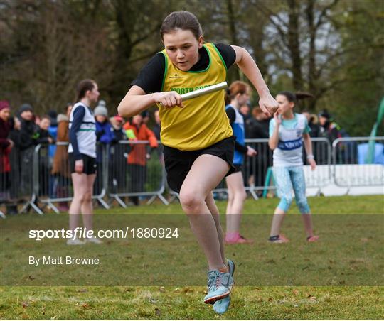 Irish Life Health National Intermediate, Master, Juvenile B & Relays Cross Country