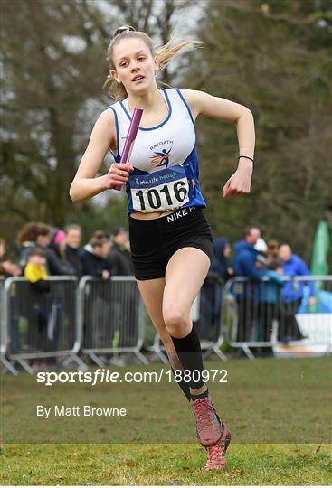 Irish Life Health National Intermediate, Master, Juvenile B & Relays Cross Country