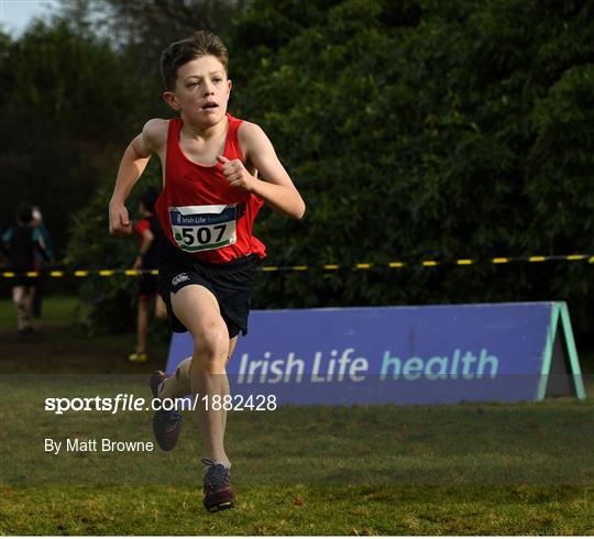 Irish Life Health National Inter/Master, Juv B & Relays Cross Country Irish Life Health National Inter/Master, Juv B & Relays Cross Country