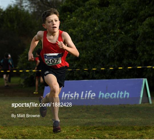 Irish Life Health National Inter/Master, Juv B & Relays Cross Country