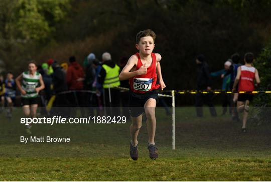 Irish Life Health National Inter/Master, Juv B & Relays Cross Country