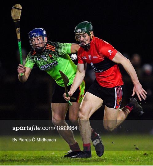 UCC v IT Carlow - Fitzgibbon Cup Final