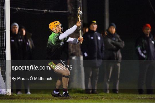 UCC v IT Carlow - Fitzgibbon Cup Final