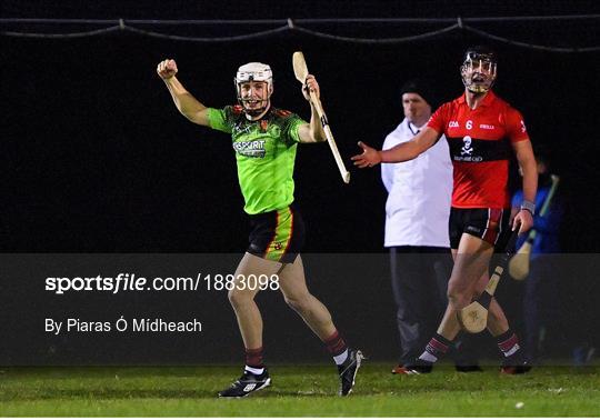 UCC v IT Carlow - Fitzgibbon Cup Final