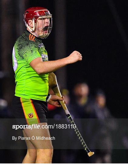 UCC v IT Carlow - Fitzgibbon Cup Final