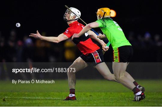 UCC v IT Carlow - Fitzgibbon Cup Final