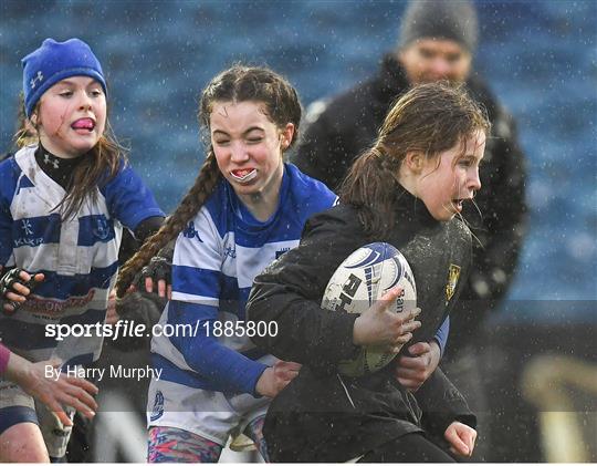 Bank of Ireland Half-Time Minis at Leinster v Toyota Cheetahs - Guinness PRO14 Round 11