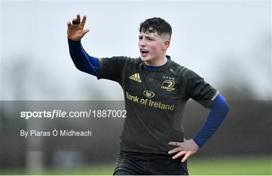 North East Area v Midlands Area - Shane Horgan Cup Round 4