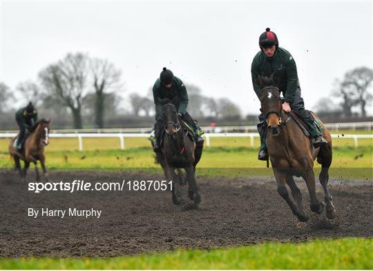 Willie Mullins Yard Visit Willie Mullins Yard Visit