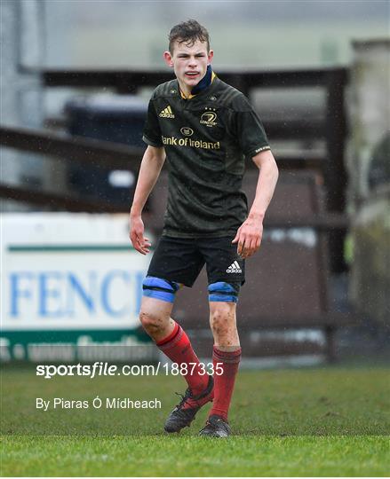 North East Area v Midlands Area - Shane Horgan Cup Round 4