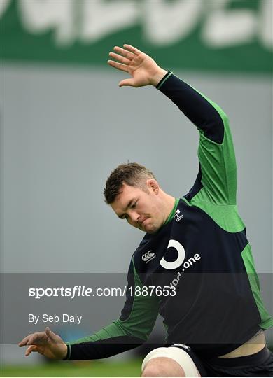 Ireland Rugby Squad Training and Press Conference