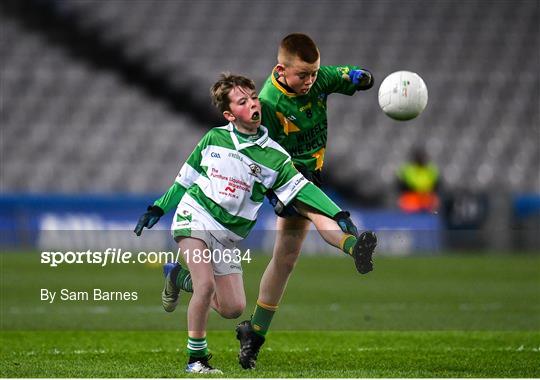 Dublin v Donegal - Allianz Football League Division 1 Round 4