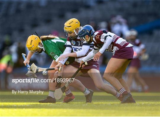 Sarsfields v Slaughtneil - AIB All-Ireland Senior Camogie Club Championship Final Sarsfields v Slaughtneil - AIB All-Ireland Senior Camogie Club Championship Final