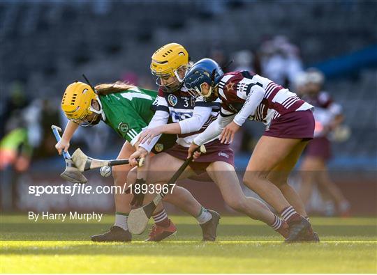 Sarsfields v Slaughtneil - AIB All-Ireland Senior Camogie Club Championship Final