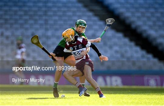 Sarsfields v Slaughtneil - AIB All-Ireland Senior Camogie Club Championship Final