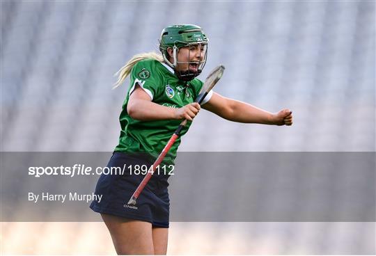 Sarsfields v Slaughtneil - AIB All-Ireland Senior Camogie Club Championship Final