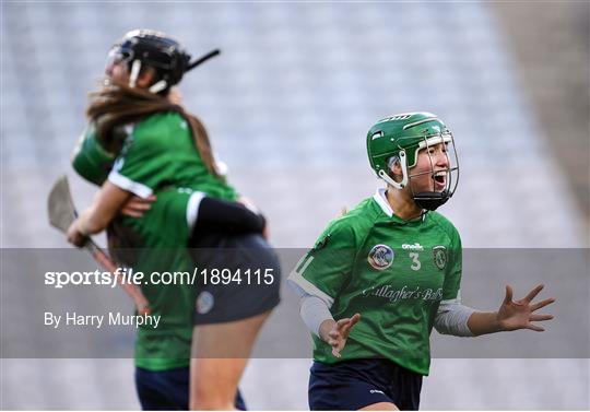 Sarsfields v Slaughtneil - AIB All-Ireland Senior Camogie Club Championship Final