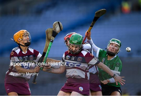 Sarsfields v Slaughtneil - AIB All-Ireland Senior Camogie Club Championship Final