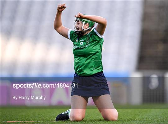 Sarsfields v Slaughtneil - AIB All-Ireland Senior Camogie Club Championship Final