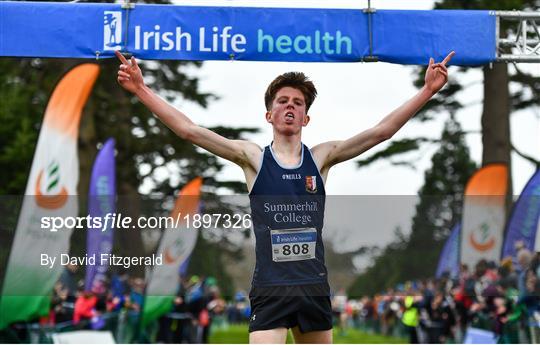 Irish Life Health All-Ireland Schools Cross Country Championships