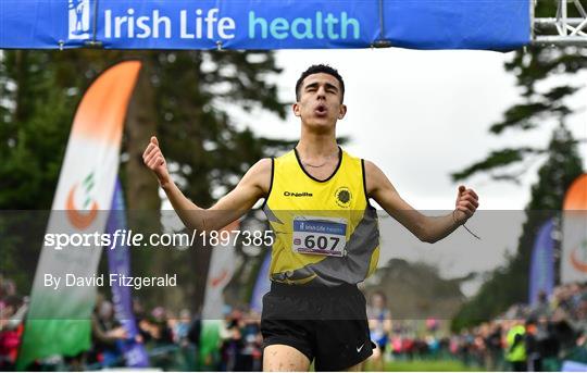 Irish Life Health All-Ireland Schools Cross Country Championships