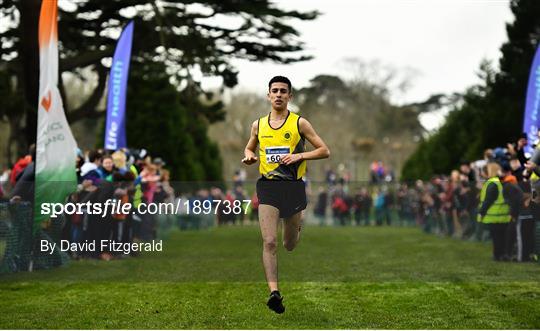 Irish Life Health All-Ireland Schools Cross Country Championships