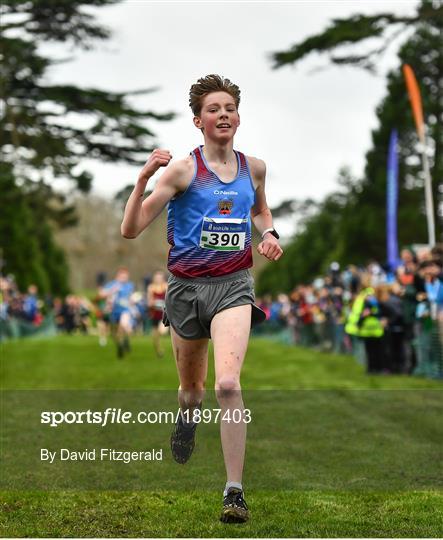 Irish Life Health All-Ireland Schools Cross Country Championships