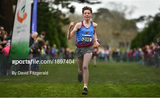 Irish Life Health All-Ireland Schools Cross Country Championships