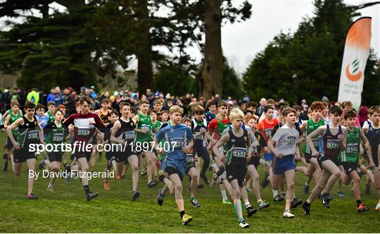 Irish Life Health All-Ireland Schools Cross Country Championships