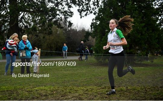 Irish Life Health All-Ireland Schools Cross Country Championships