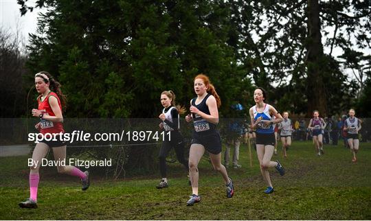 Irish Life Health All-Ireland Schools Cross Country Championships