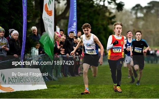 Irish Life Health All-Ireland Schools Cross Country Championships