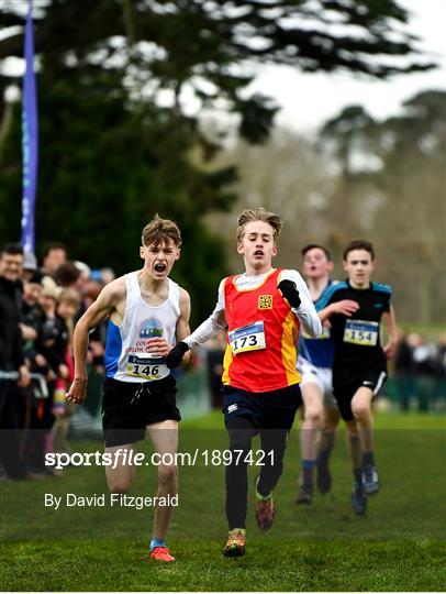 Irish Life Health All-Ireland Schools Cross Country Championships