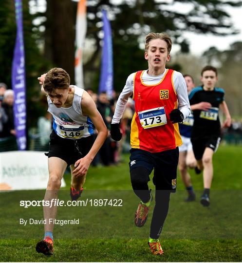 Irish Life Health All-Ireland Schools Cross Country Championships