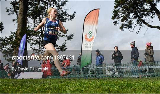 Irish Life Health All-Ireland Schools Cross Country Championships