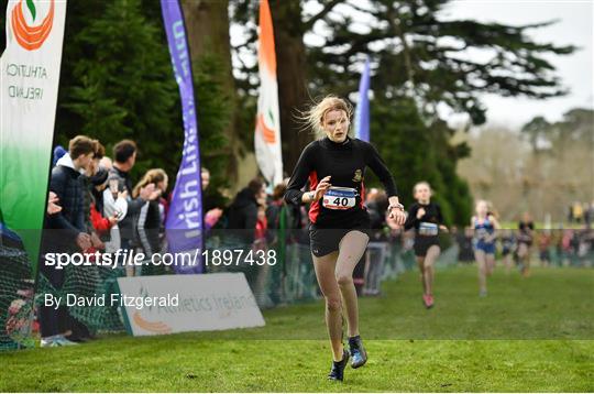 Irish Life Health All-Ireland Schools Cross Country Championships